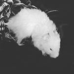 grant wheeler - @thunder_fuck_is_home - Instagram