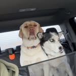 Grant Wilkinson - @wilkinson.grant - Instagram