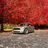 grant - @grant.williams08 - TikTok