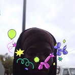 Grant Williams - Facebook