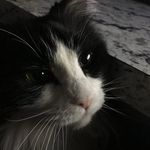Grant Wills - @grantwills01 - Instagram