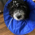 Grant Winn - @grant_winn - Instagram