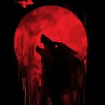 Grant Wolf - @grant.wolf.543 - Instagram