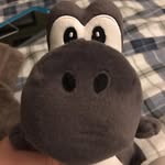 Grant Wolf - @grantwolf6 - Instagram