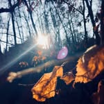 Grant Wolf - @thebeautyoflife04 - Instagram