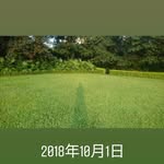 Grant Wong - @grantwong3 - Instagram