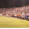 bowman_gray_racing - @bowman_gray_racing - TikTok