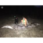 Gray Davis - @graydavis4 - Instagram