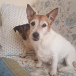 Gattoni Graziana - @gattonigraziana - Instagram