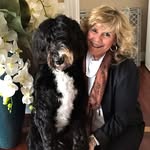 Carol Gray Goodman - @carolgoodman973 - Instagram