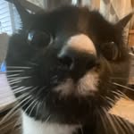 Gray Hancock - @notgrey1 - Instagram