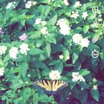 Gray Hudson - @grayskyephotos - Instagram