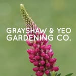 Grayshaw&Yeo - @grayshawyeo - Instagram