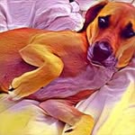 Gray Watson - @graydenwatson - Instagram