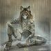Gray Wolf - Facebook