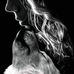 Gray Wolf - Facebook