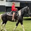 Bandit 23 - @graysonadkins - TikTok