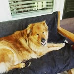 Grayson Barnes - @grayson.barnes - Instagram