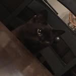 Grayson Barnes - @grayson.b.12 - Instagram