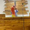 graysonbarnes4 - @graysonbarnes4 - TikTok