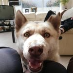 Grayson Barrett - @graysonthedestroyer - Instagram
