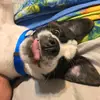 Grayson - @graysonblackburn - TikTok