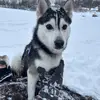 Grayson_Butler41 - @graysonbutler41 - TikTok