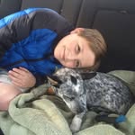 Grayson Butler - @graysonbutler406 - Instagram