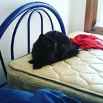 Grayson Jeffery Caldwell - @graysonp745 - Instagram