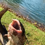 grayson carr - @grayson_car1234_g - Instagram