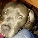 Grayson Chandler - @grayson_chandler1 - Instagram