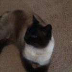 Grayson Clements - @clementsgrayson - Instagram