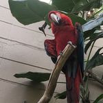 Graysonclements - @graysonclements9 - Instagram