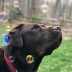 Grayson Cochran - @graysonthe_1 - Instagram