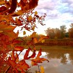 Grayson Collins - @grayson.collins7 - Instagram