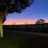 graysonevans2223 - @graysonevans2223 - TikTok