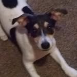 grayson fields - @fields_grayson - Instagram