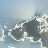 Scooter gray - @graysongibson50 - TikTok