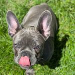 Grayson Hahn - @graysonhahn20 - Instagram