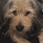Grayson Hunt - @grayson_huntboi - Instagram