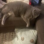 Grayson Lang - Facebook