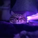 Grayson Marshall - @grayson_marshallll - Instagram