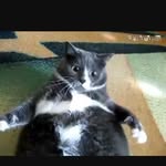 Grayson Marshall - @grayson_like_memes - Instagram