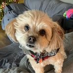 Grayson Myers - Facebook