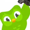 Grayson Nelson - @grayson.nelson4 - TikTok