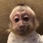 Grayson Nguyen - Facebook