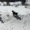 toptier Grayson - @grayson.phelps05 - TikTok
