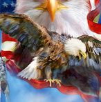 Grayson Rector - Facebook