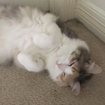Grayson Reid - @reid.grayson - Instagram