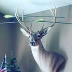 Grayson Shelton - @graysongs212020 - Instagram